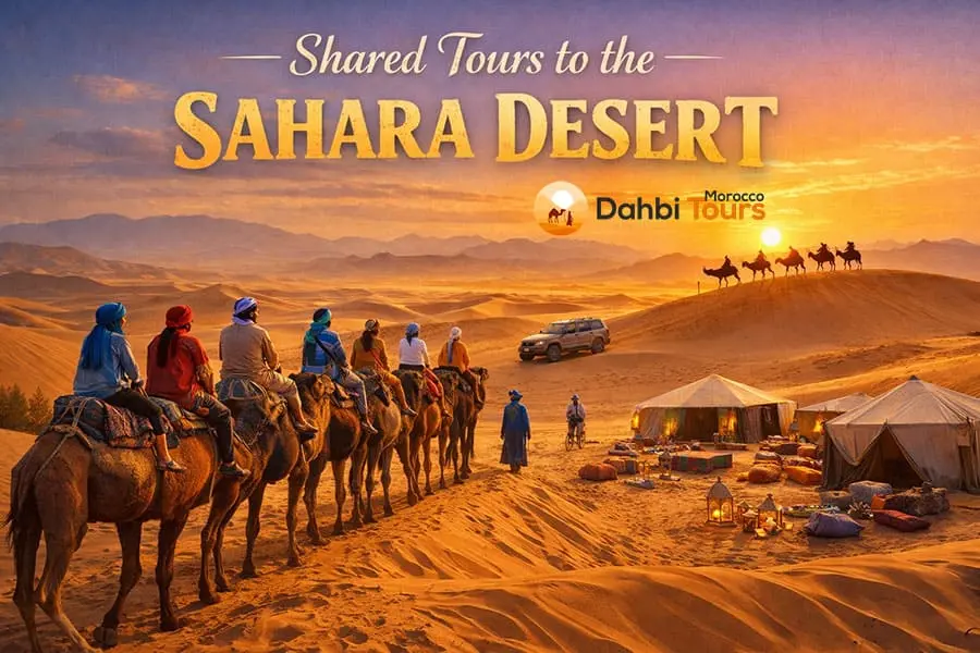 Shared sahara desert tour