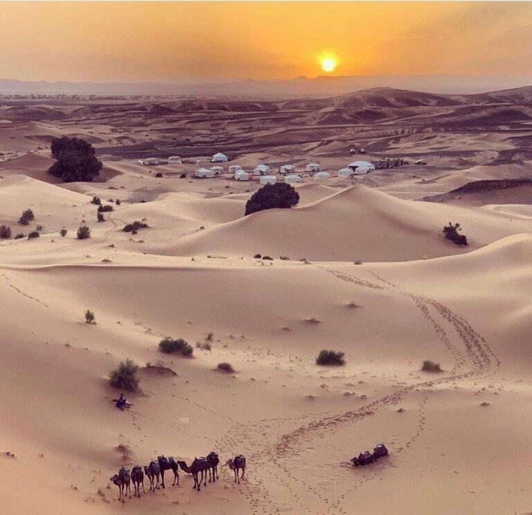 camel trek at sunset — 5 day desert tour from Fes, Erg Chebbi dunes