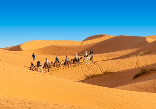 contactMorocco Sahara Desert-Morocco tour services